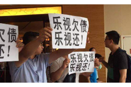 西秀西秀的要账公司在催收过程中的策略和技巧有哪些？